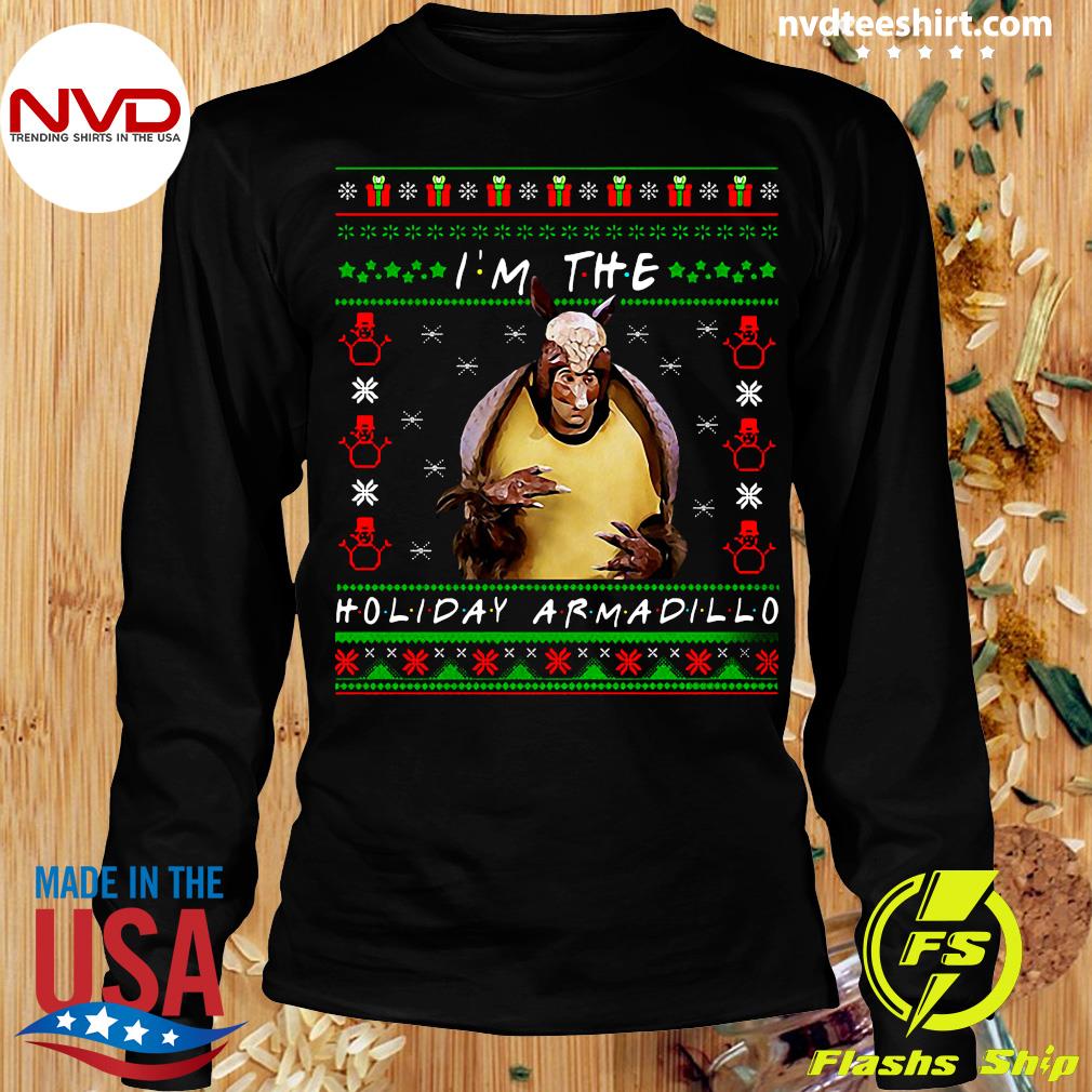 holiday armadillo christmas jumper