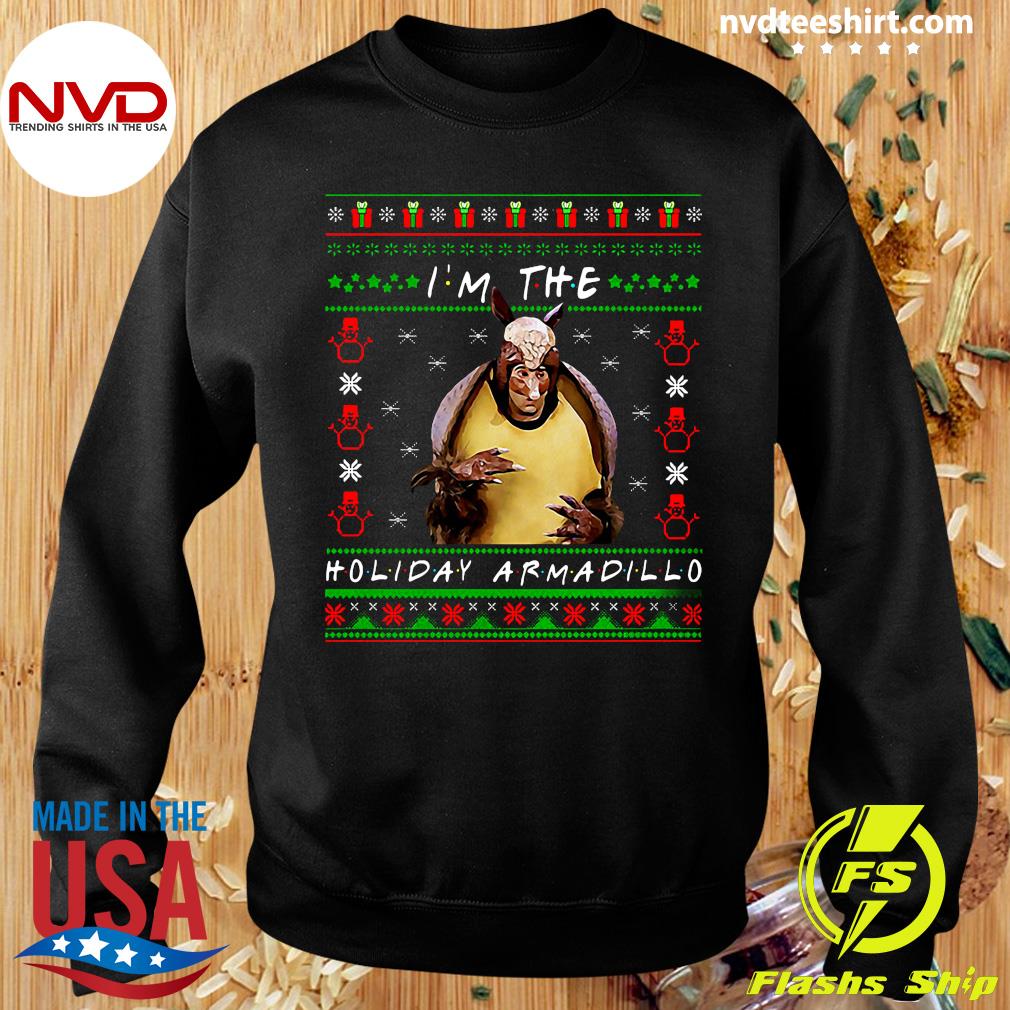 friends holiday armadillo sweater