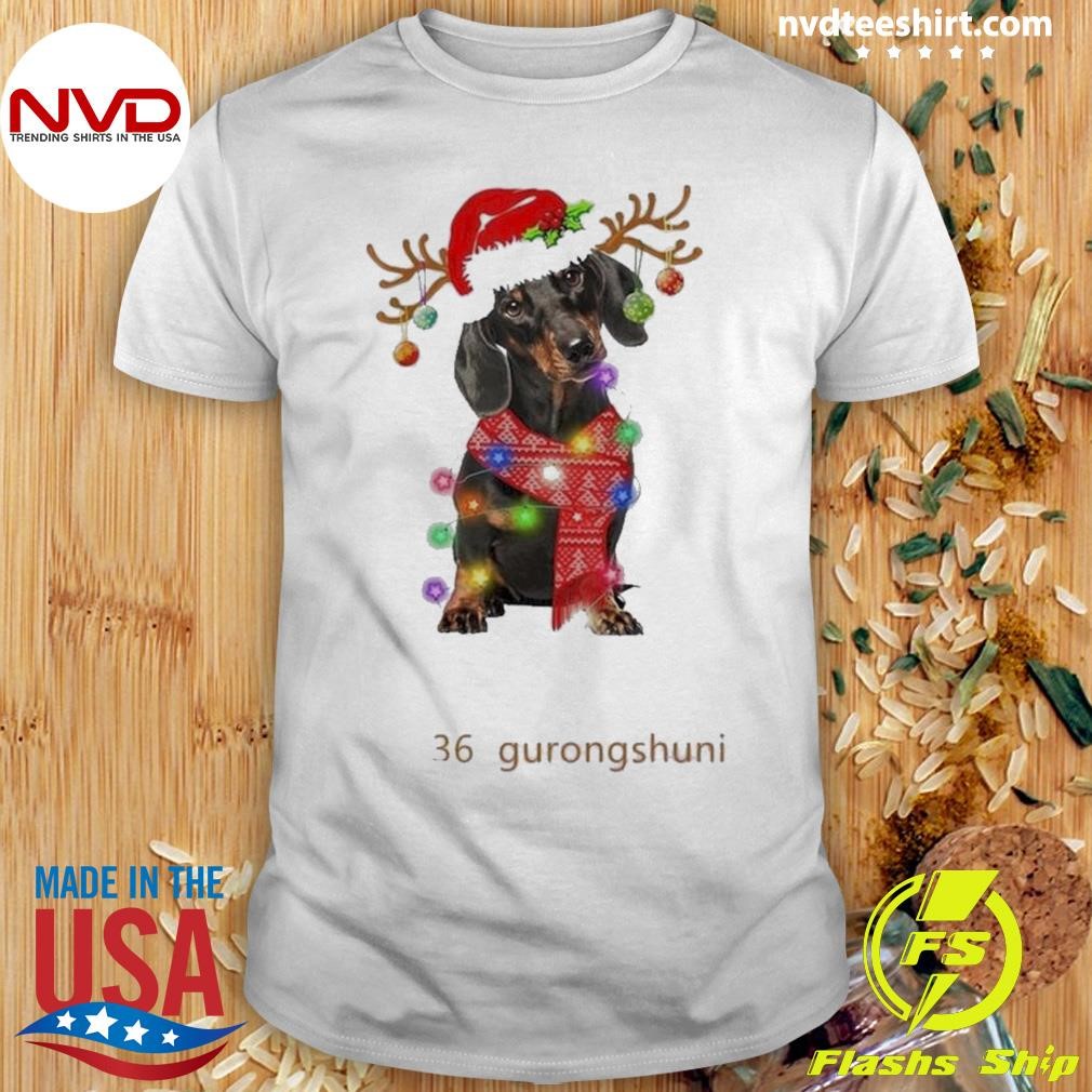 Dog Santa Merry Christmas Shirt