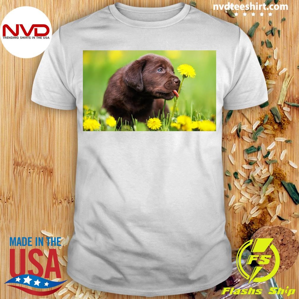 National Dog Day 2024 Honoring Man's Best Friend Shirt