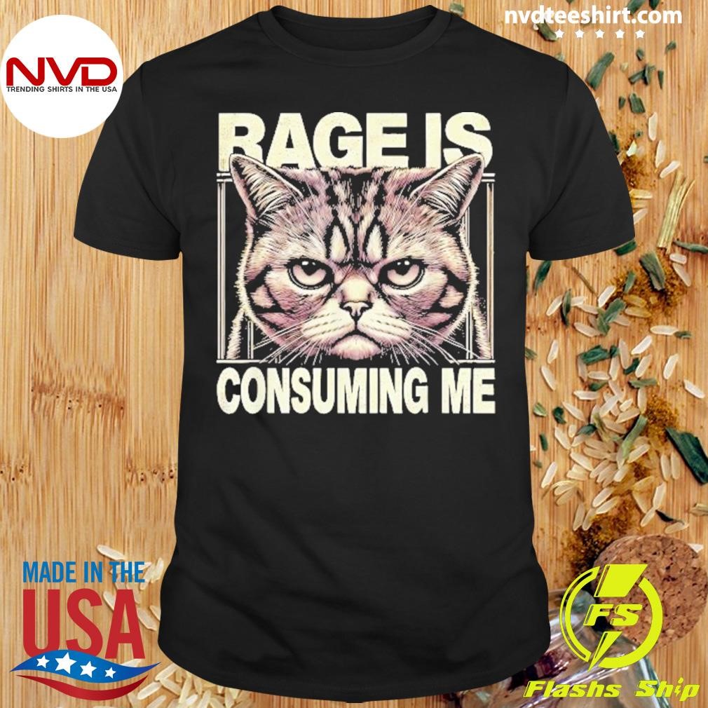 Rage Is Consuming Me Cat Meme 2024 Shirt