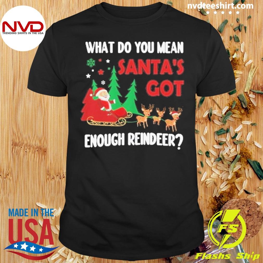 Merry Christmas 2024 What Do You Mean Santa Got Enough Reindeer Shirt