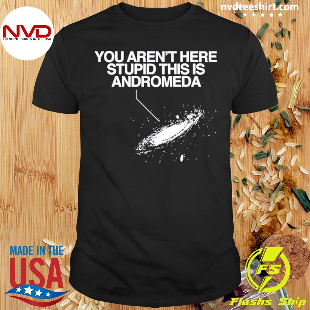 You Aren't Here Stupid This Is Andromeda Tee Shirt